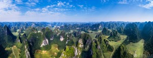 龙永智  《龙州弄岗国家森林保护区》