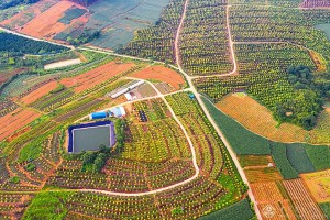 陆秀廷  《美丽家园》