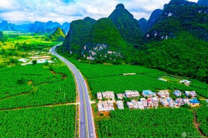 莫立军 《青山绿水间乡村振兴路》