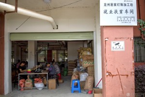 蔡云虹  《加强就业帮扶、助力乡村振兴》组照