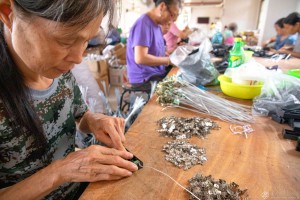 蔡云虹  《加强就业帮扶、助力乡村振兴》组照