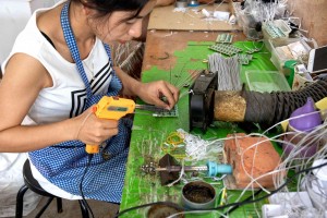 蔡云虹  《加强就业帮扶、助力乡村振兴》组照