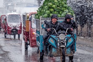 《风雪无情人有情》组图之一   作者:任刚