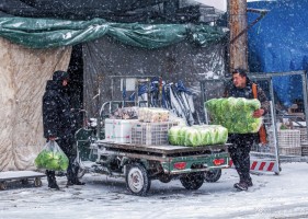 《雪中送菜》   作者:陈宗权