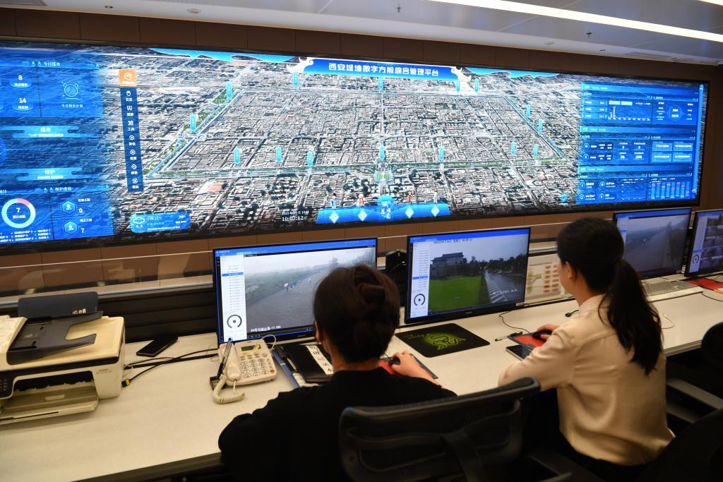 1766311770177869.jpg 44c.jpg