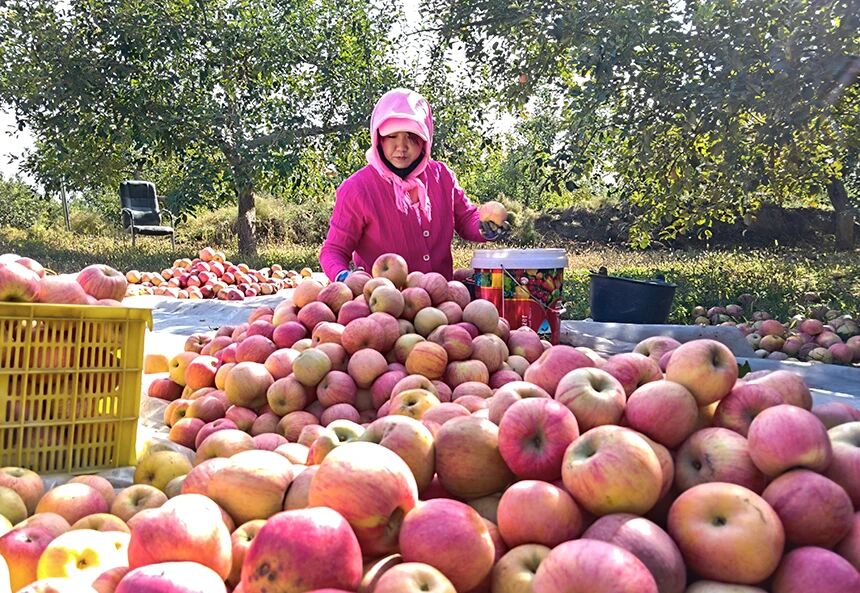 1767922896126258.jpg 60.jpg