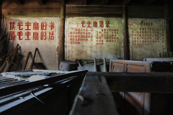 本网走进永康暨永康市摄协成立30年活动圆满举办