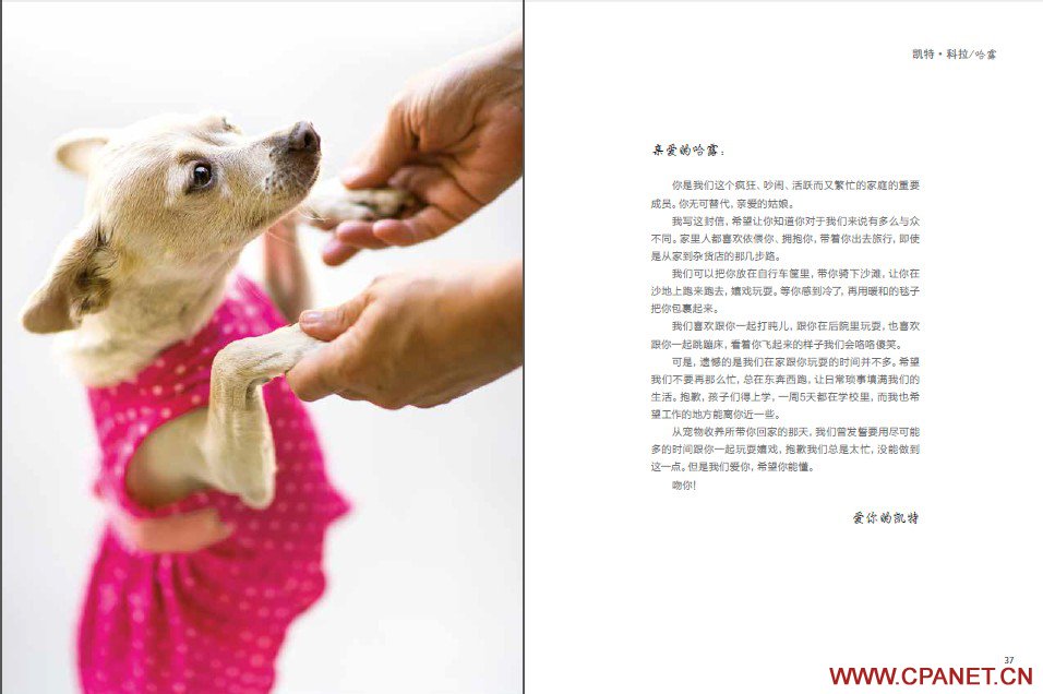 【2014最有爱的摄影比赛】“给爱犬的一封信”主题图文比赛