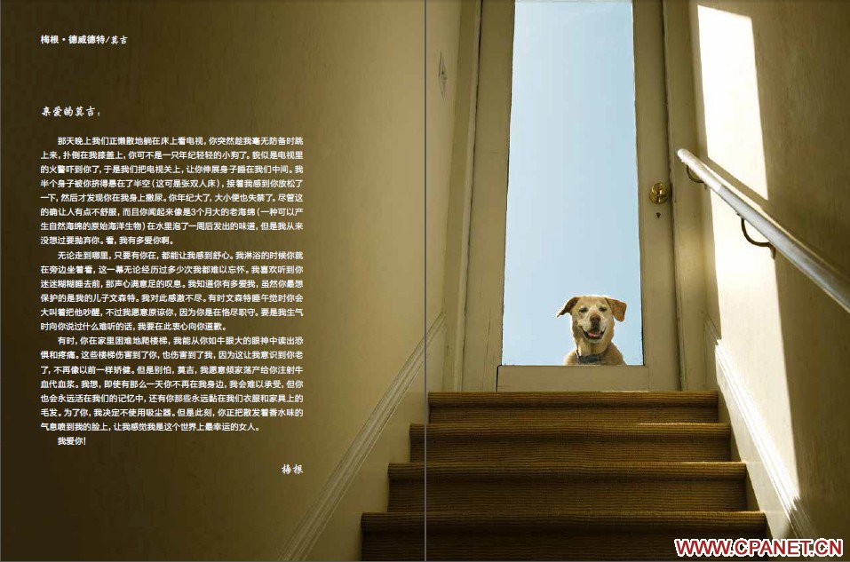 【2014最有爱的摄影比赛】“给爱犬的一封信”主题图文比赛