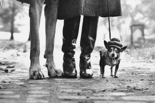 大牌云集 上海艺术影像展9月登陆上海