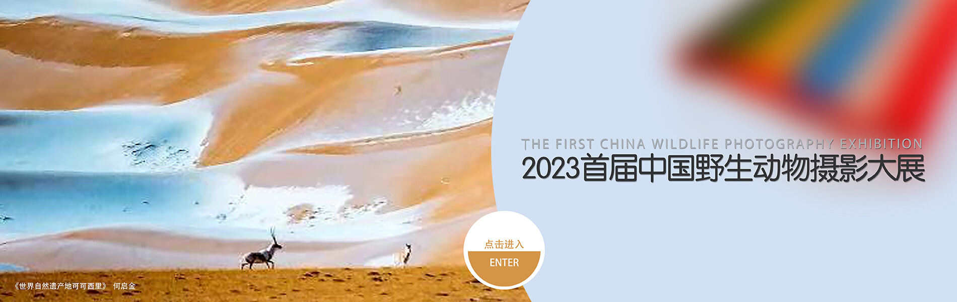 2023首届中国野生动物摄影大展