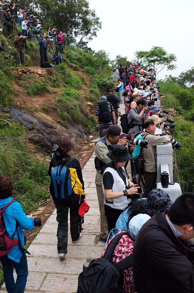 15 2014年5月15日，霞浦县三沙镇小皓景点，山坡上、小道上站满了前来拍摄的摄影者。.jpg