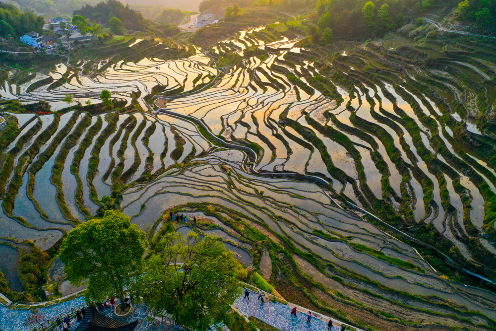 光影世界——雾云山梯田.jpg