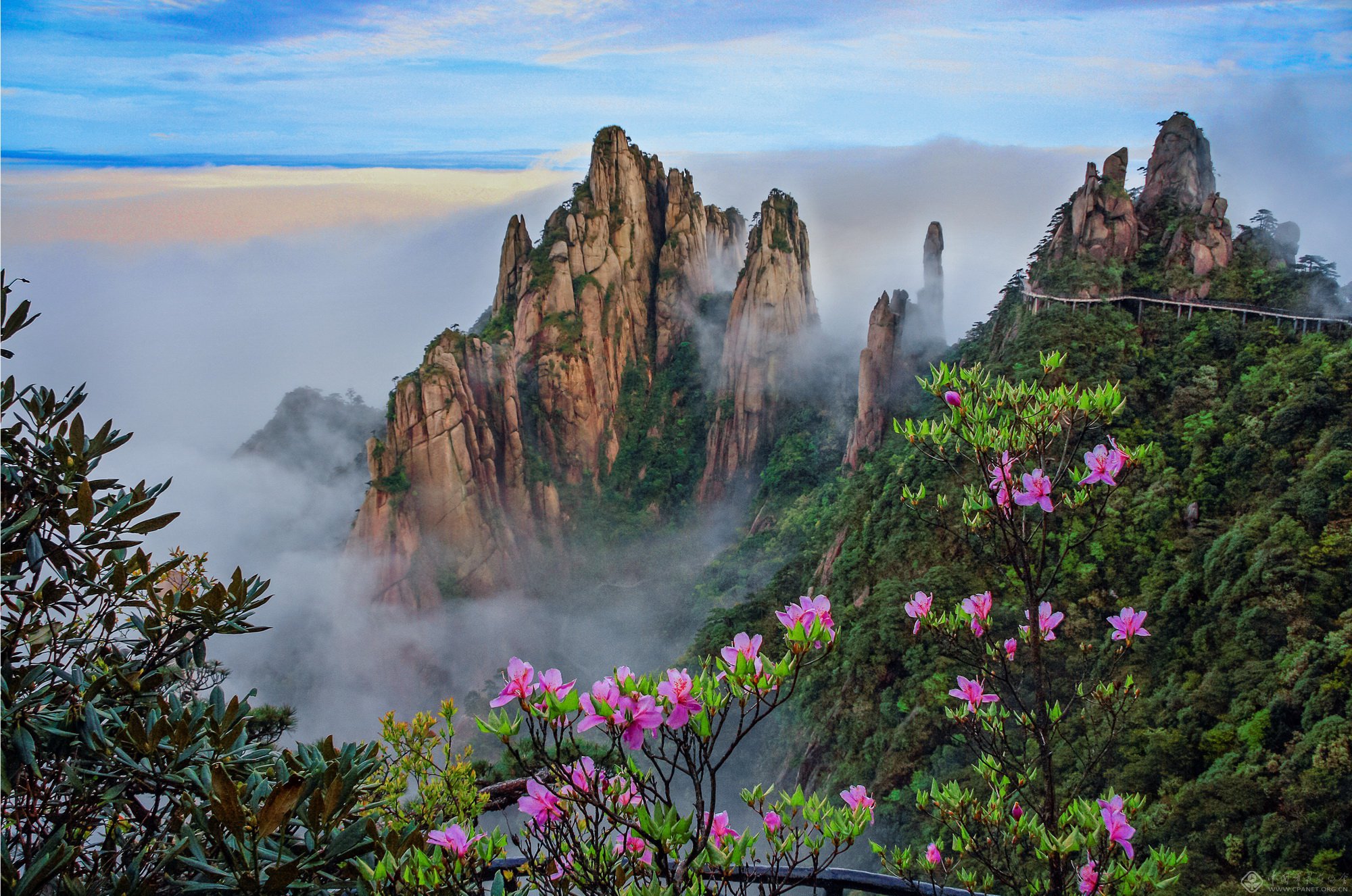 百名摄影家聚焦 “纯美三清山”